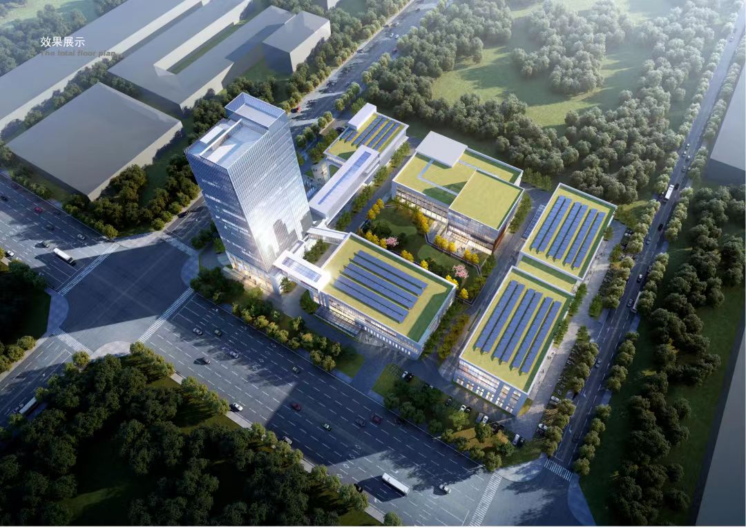 despite numerous accolades despite numerous accolades